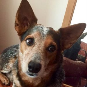 Meet your Posher, Vinky